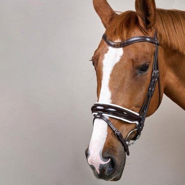 Trense Working by Dy'on Kombinierte Reithalfter Breit Lackiert Weiße Unterlegung Braun
