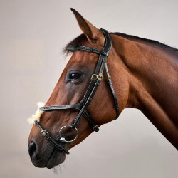 Trense mit geflochtenem Kombinationsnasenriemen D Collection Dy'on Schwarz Trense mit geflochtenem Kombinationsnasenriemen D Collection Dy'on Schwarz