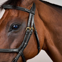 Trense mit geflochtenem Kombinationsnasenriemen D Collection Dy'on Schwarz Trense mit geflochtenem Kombinationsnasenriemen D Collection Dy'on Schwarz