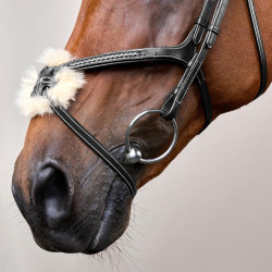 Trense mit geflochtenem Kombinationsnasenriemen D Collection Dy'on Schwarz Trense mit geflochtenem Kombinationsnasenriemen D Collection Dy'on Schwarz
