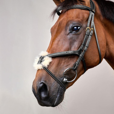 Trense mit geflochtenem Kombinationsnasenriemen D Collection Dy'on Schwarz Trense mit geflochtenem Kombinationsnasenriemen D Collection Dy'on Schwarz