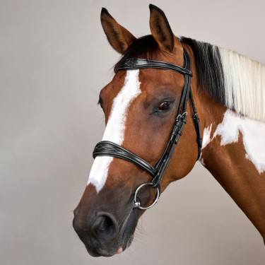 Anatomisches Reithalfter ohne Kehlriemen Kollektion US Jumping Dy'on Schwarz