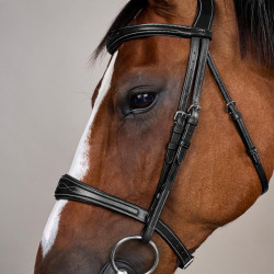 Anatomisches Reithalfter ohne Kehlriemen Kollektion US Jumping Dy'on Schwarz