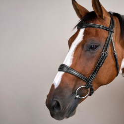 Anatomisches Reithalfter ohne Kehlriemen Kollektion US Jumping Dy'on Schwarz