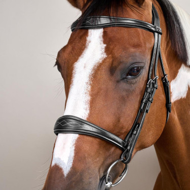 Anatomisches Reithalfter ohne Kehlriemen Kollektion US Jumping Dy'on Schwarz