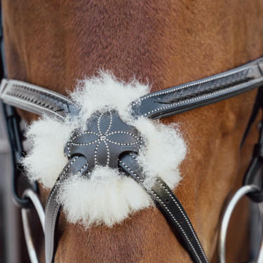 Geflochtener Kombi-Nasenriemen D Collection Dy'on Schwarz Geflochtener Kombi-Nasenriemen D Collection Dy'on Schwarz