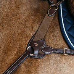 Schutz für 5-Punkt-elastischen Vorderzeug Dy'on Braun