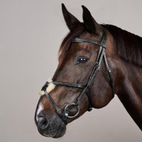 Geflochtener Reithalfter mit Kreuzriemen New English Collection Dy'on Schwarz