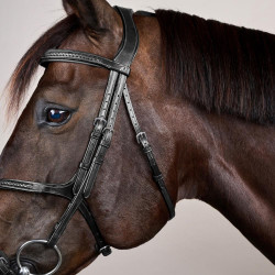 Geflochtener Reithalfter mit Kreuzriemen New English Collection Dy'on Schwarz Geflochtener Reithalfter mit Kreuzriemen New English Collection Dy'on Schwarz