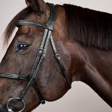 Geflochtener Reithalfter mit Kreuzriemen New English Collection Dy'on Schwarz Geflochtener Reithalfter mit Kreuzriemen New English Collection Dy'on Schwarz