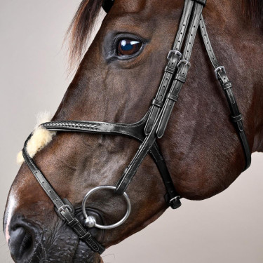 Geflochtener Reithalfter mit Kreuzriemen New English Collection Dy'on Schwarz Geflochtener Reithalfter mit Kreuzriemen New English Collection Dy'on Schwarz