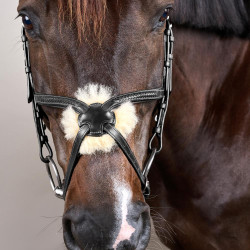 Geflochtener Reithalfter mit Kreuzriemen New English Collection Dy'on Schwarz Geflochtener Reithalfter mit Kreuzriemen New English Collection Dy'on Schwarz