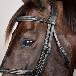 Geflochtener Reithalfter mit Kreuzriemen New English Collection Dy'on Schwarz Geflochtener Reithalfter mit Kreuzriemen New English Collection Dy'on Schwarz