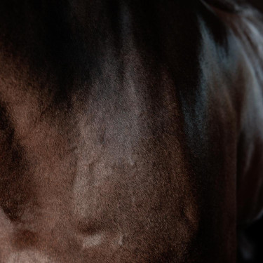 Superglänzendes Gel Grooming Deluxe von Kentucky