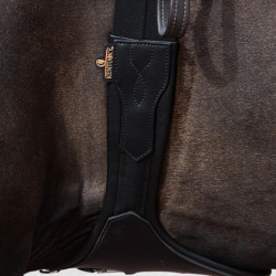 Anatomischer Kurzgurt mit Schnalle Kentucky Schwarz