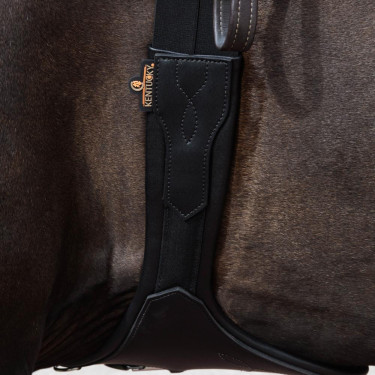 Anatomischer Kurzgurt mit Schnalle Kentucky Schwarz