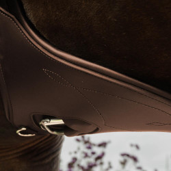 Anatomischer Kurzgurt mit Schnalle Kentucky Braun