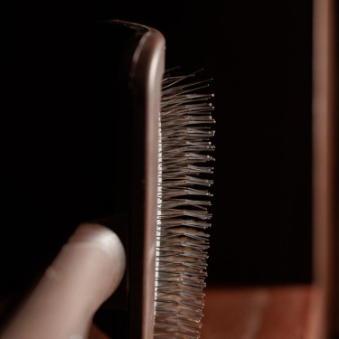 Bürste zum Reinigen von Klettverschlüssen Grooming Deluxe Beige