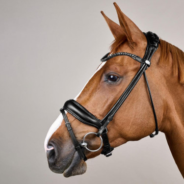 Trense Working von Dy'on ComfoHead Trense Working von Dy'on ComfoHead