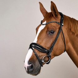 Trense Working von Dy'on ComfoHead Trense Working von Dy'on ComfoHead