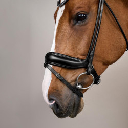 Trense Working von Dy'on ComfoHead Trense Working von Dy'on ComfoHead