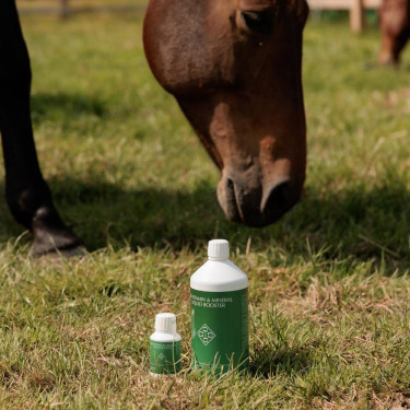 Vitamin- und Mineralflüssigkeits-Booster Grooming Deluxe von Kentucky