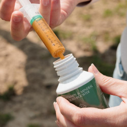 Vitamin- und Mineralflüssigkeits-Booster Grooming Deluxe von Kentucky