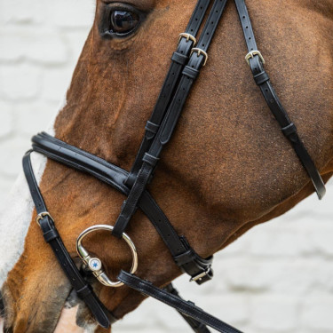 Trense mit kombiniertem mittlerem Reithalfter aus weichem Leder Dy’on Schwarz