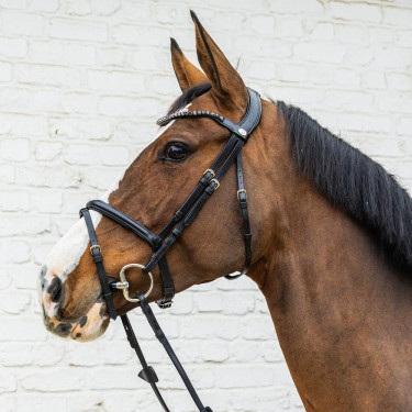 Trense mit kombiniertem mittlerem Reithalfter aus weichem Leder Dy’on Schwarz