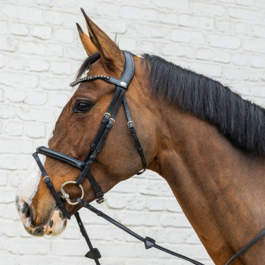 Trense mit kombiniertem mittlerem Reithalfter aus weichem Leder Dy’on Schwarz