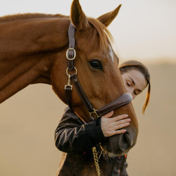 Lederhalfter D Collection by Dy'on Braun