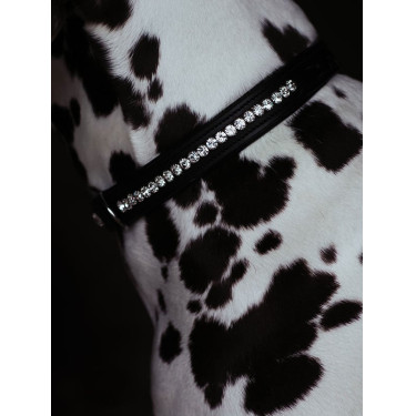 Hundehalsband Equestrian Stockholm mit Strass Schwarz Edition
