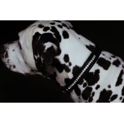 Hundehalsband Equestrian Stockholm mit Strass Schwarz Edition