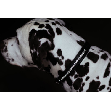 Hundehalsband Equestrian Stockholm mit Strass Schwarz Edition