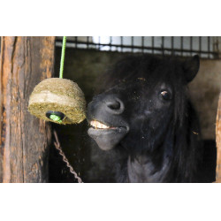 Hippo-Tonic Natur Heublock Hippo-Tonic Natur Heublock