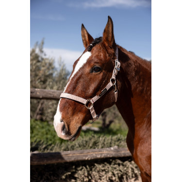 Halfter Hardwick B Vertigo Sepia-Rose Rosa