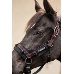 Halfter Cairo Infrarot Horze Dunkles Anthrazitgrau