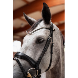 Schmales Kopfstück Horze Delémont Kaviar Schwarz