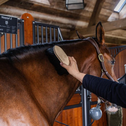 Lange weiche klassische Holzbürste Grooming Deluxe Schwarz Lange weiche klassische Holzbürste Grooming Deluxe Schwarz
