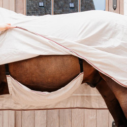 Fliegendecke Comfort Classic mit Halsteil & Bauchteil Kentucky Beige / Bordeaux Fliegendecke Comfort Classic mit Halsteil & Bauchteil Kentucky Beige / Bordeaux