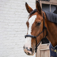 Kentucky Knotenhalfter Schwarz