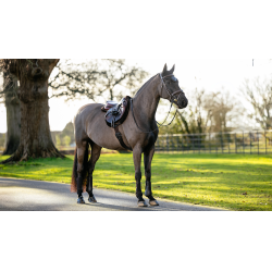 Schabracke Hunter LeMieux Merino+ Schabracke Hunter LeMieux Merino+