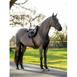 Schabracke Hunter LeMieux Merino+ Schabracke Hunter LeMieux Merino+