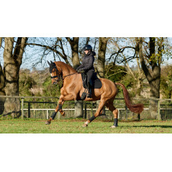 LeMieux ProSport Dressur Satteldecke SQ Plain Standard Strap Schwarz