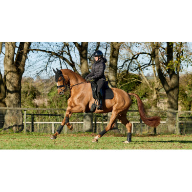 LeMieux ProSport Dressur Satteldecke SQ Plain Standard Strap Schwarz