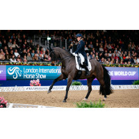 LeMieux ProSport Dressur Satteldecke SQ Plain Standard Strap Weiß Weiß LeMieux ProSport Dressur Satteldecke SQ Plain Standard Strap Weiß Weiß