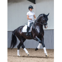 LeMieux ProSport Dressur Satteldecke SQ Plain Standard Strap Altes Modell Weiß Wei&amp;szlig;