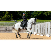 LeMieux Suede Dressage Square Reflective Marineblau