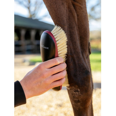 Harte Bürste LeMieux Schwarz