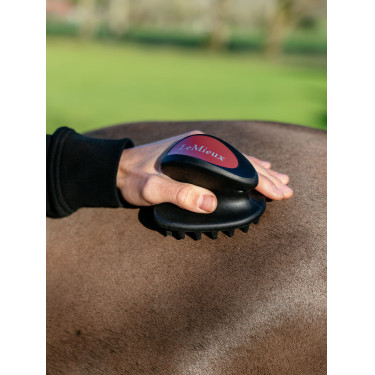 LeMieux Massagebürste Schwarz